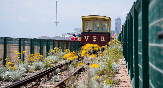 Volk's Electric Railway in Summer